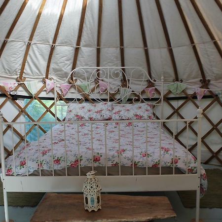 Mill Haven Place Glamping-Yurt 1 Talbenny Exteriér fotografie