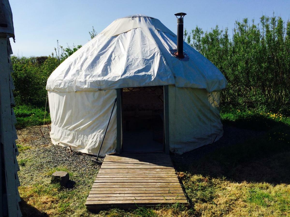 Mill Haven Place Glamping-Yurt 1 Talbenny Exteriér fotografie
