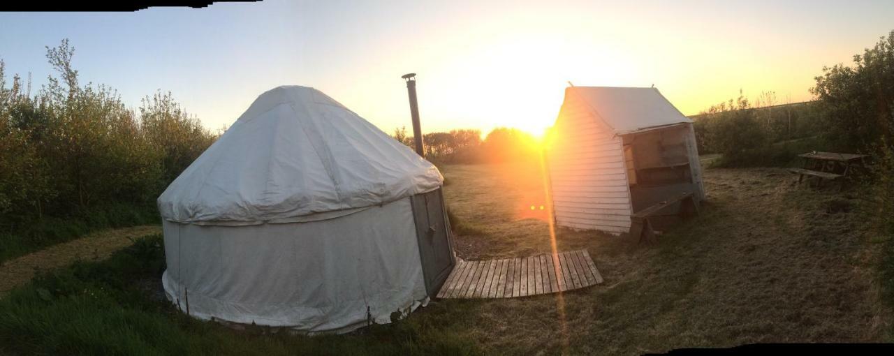 Mill Haven Place Glamping-Yurt 1 Talbenny Exteriér fotografie