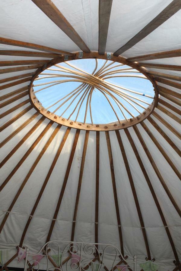 Mill Haven Place Glamping-Yurt 1 Talbenny Exteriér fotografie
