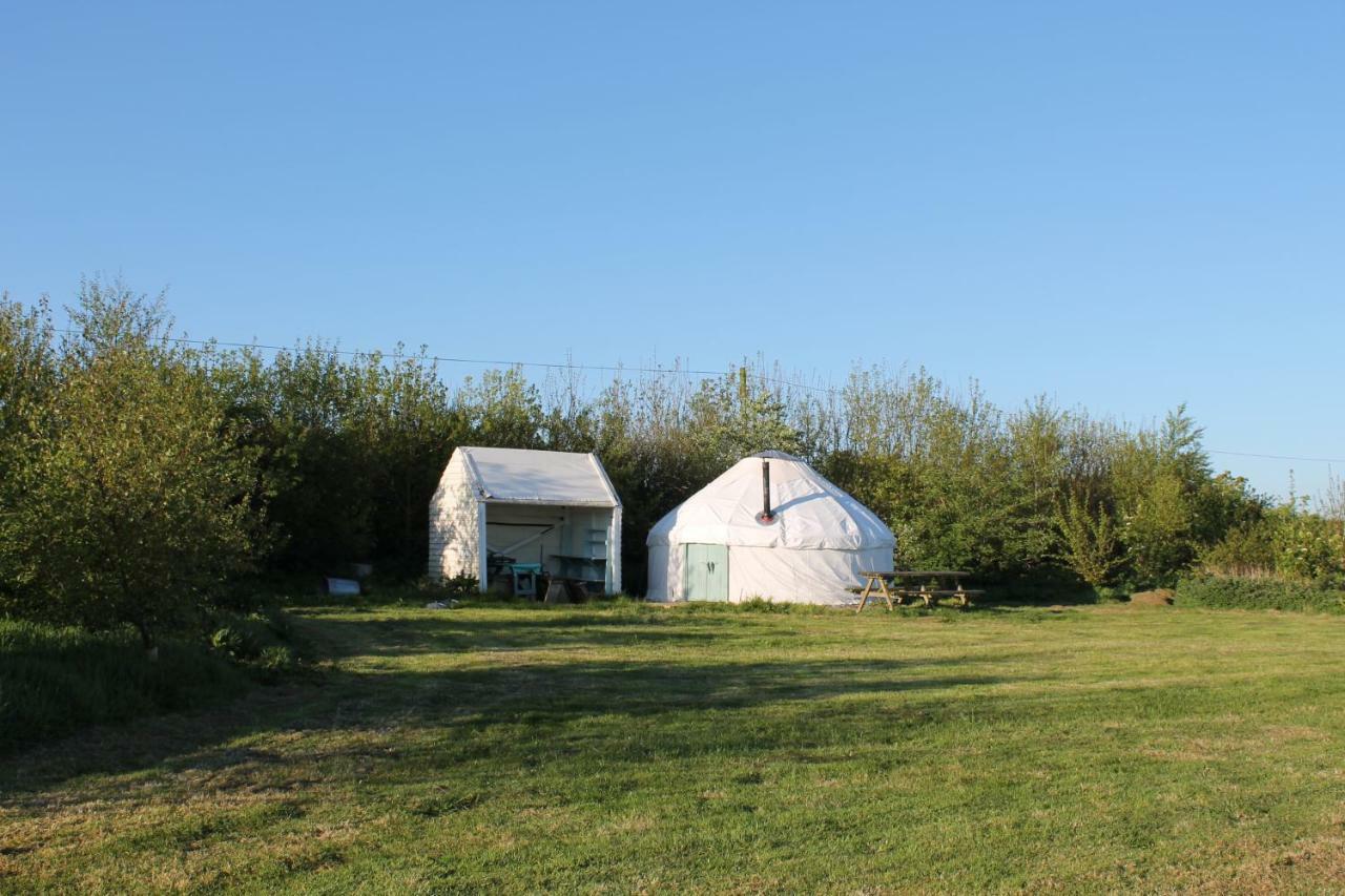 Mill Haven Place Glamping-Yurt 1 Talbenny Exteriér fotografie