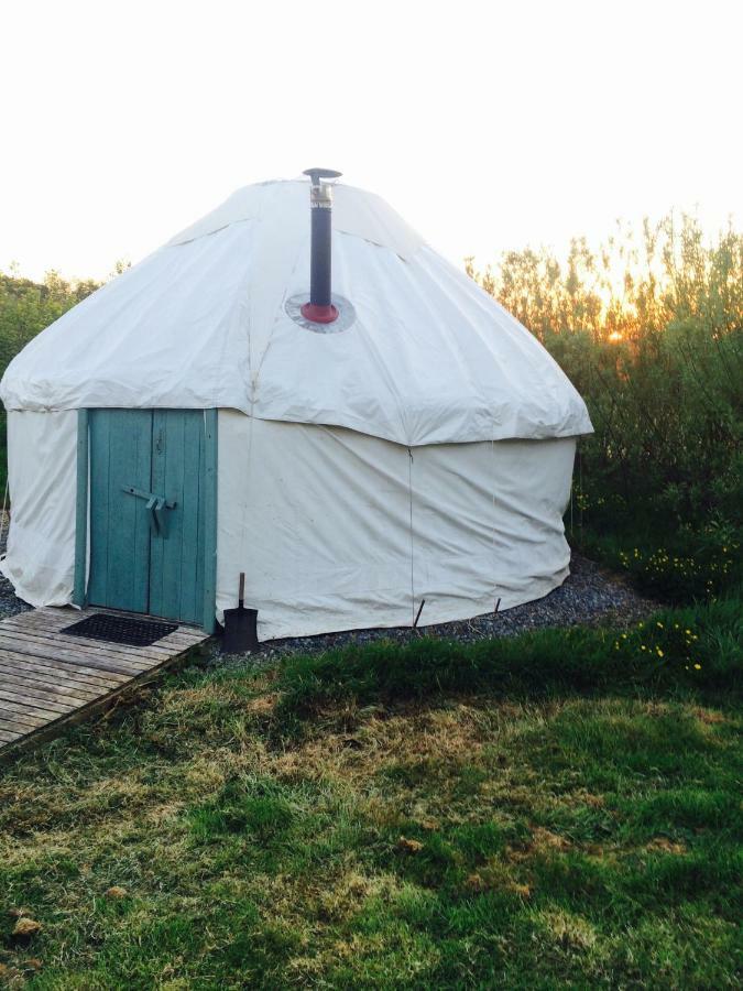 Mill Haven Place Glamping-Yurt 1 Talbenny Exteriér fotografie