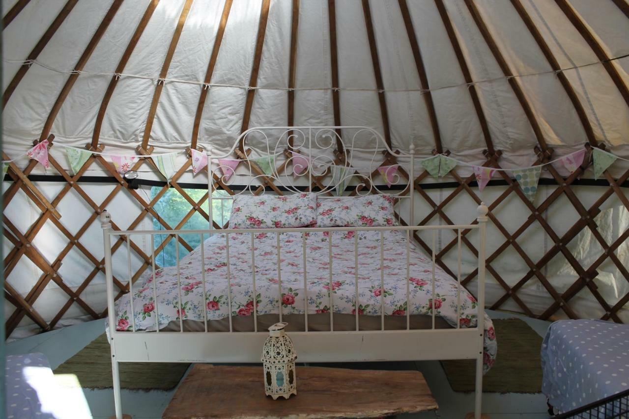 Mill Haven Place Glamping-Yurt 1 Talbenny Exteriér fotografie
