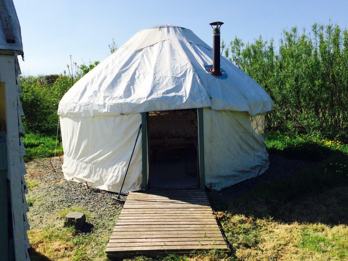 Mill Haven Place Glamping-Yurt 1 Talbenny Exteriér fotografie