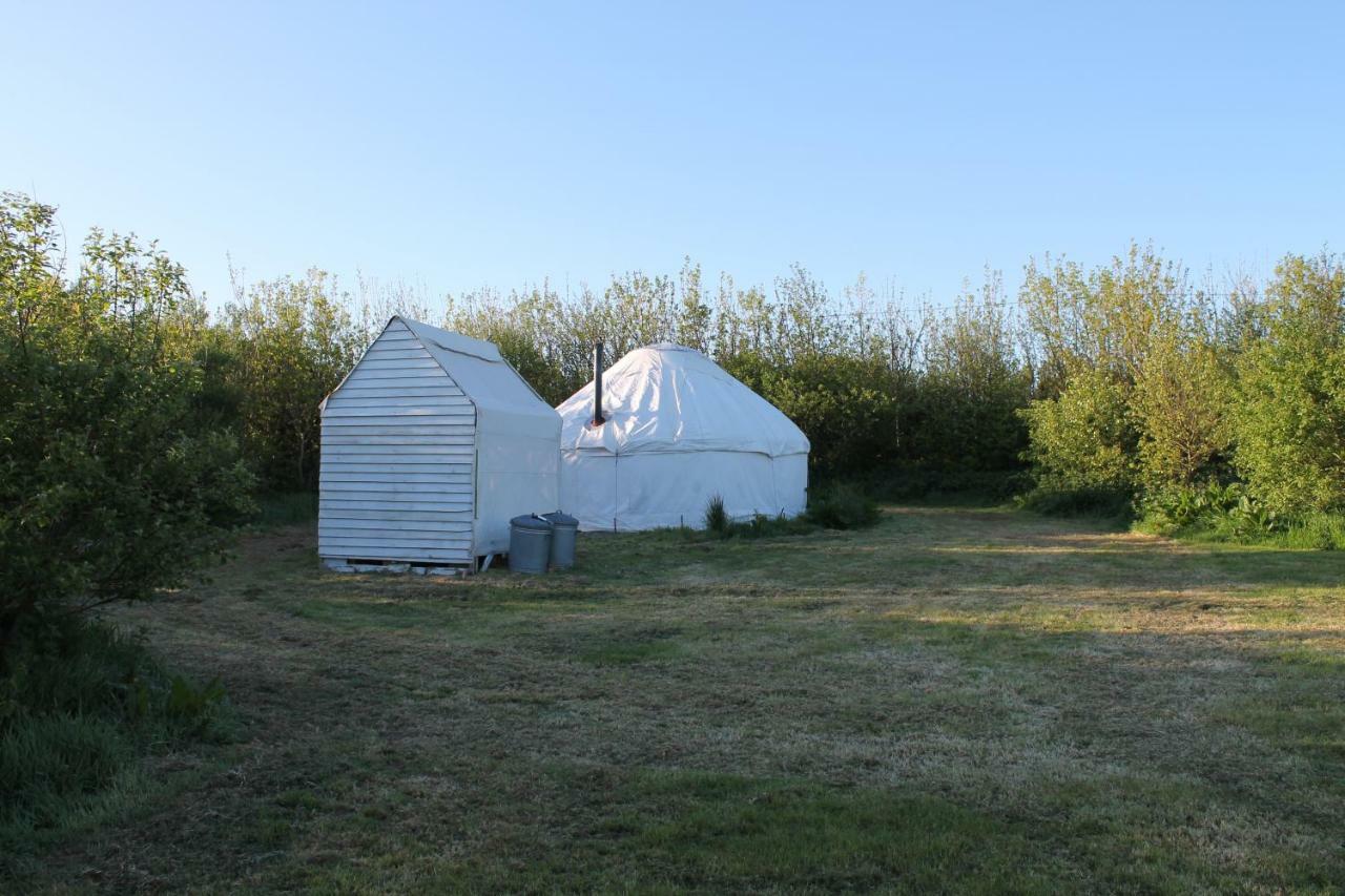 Mill Haven Place Glamping-Yurt 1 Talbenny Exteriér fotografie