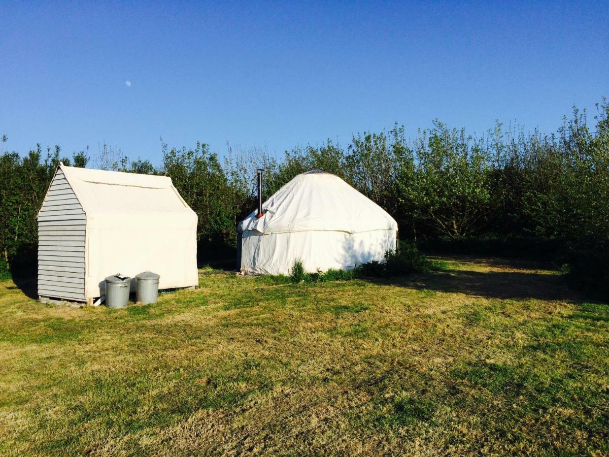 Mill Haven Place Glamping-Yurt 1 Talbenny Exteriér fotografie